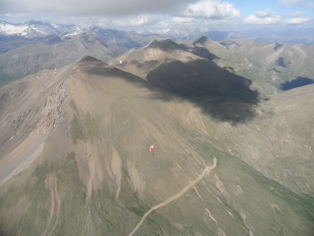 copiaSDC10207.JPG